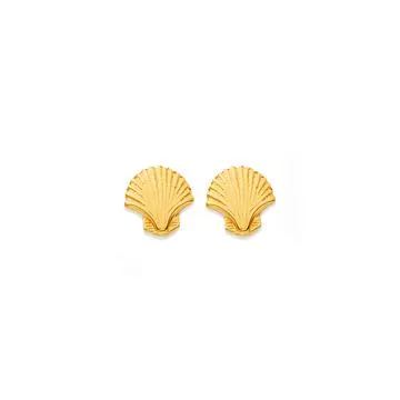 9ct Sea Shell Studs