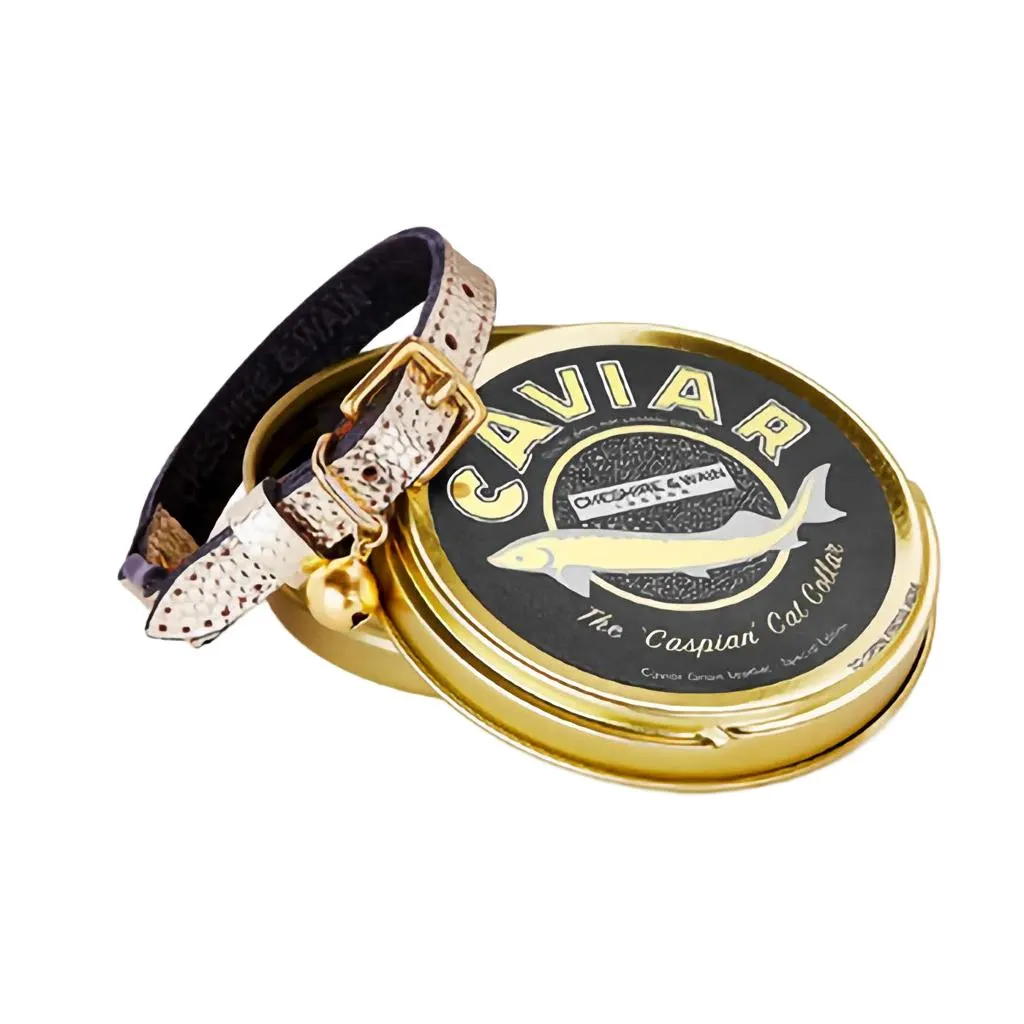 Caviar Leather Cat Collar - Caspian Gold