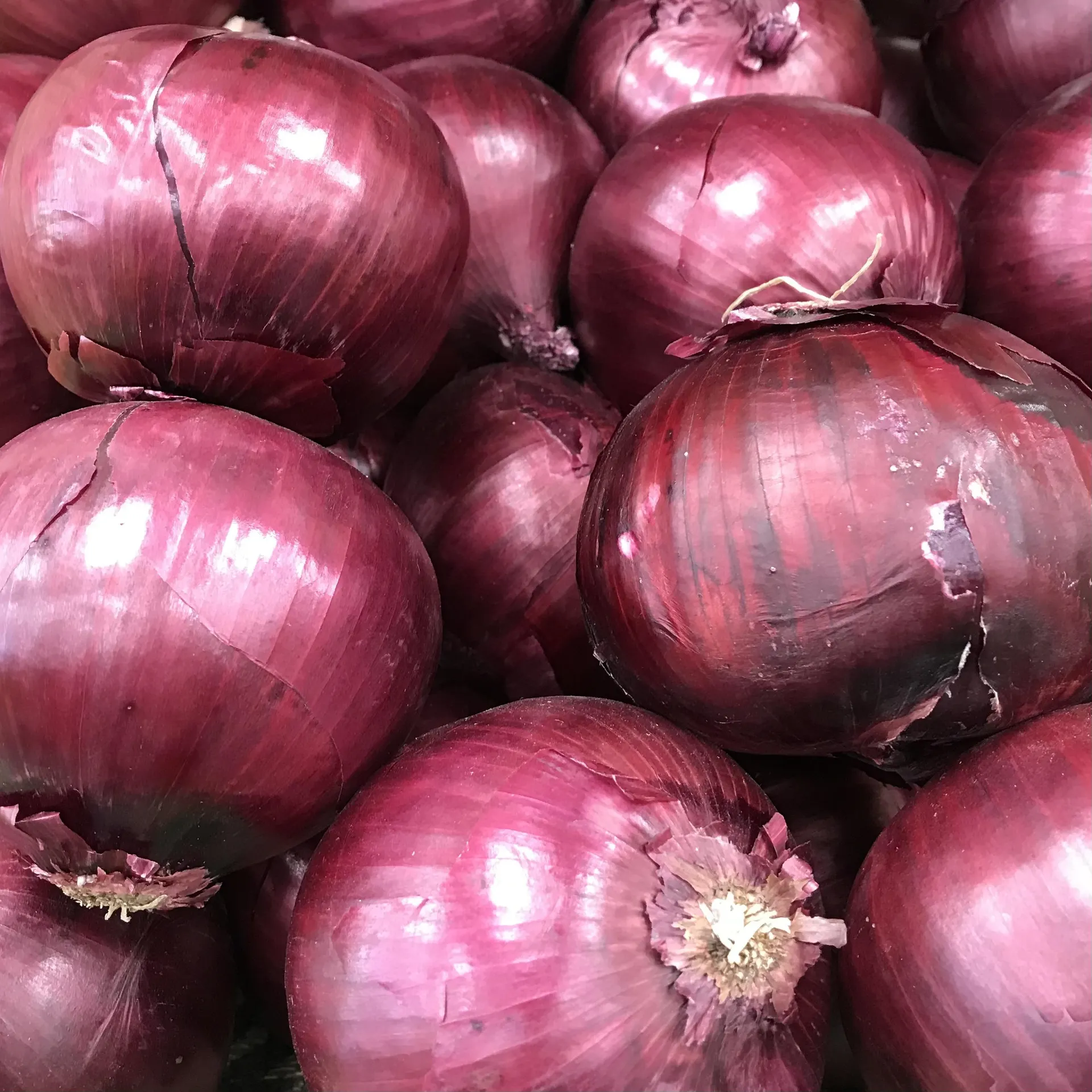 Red Onions