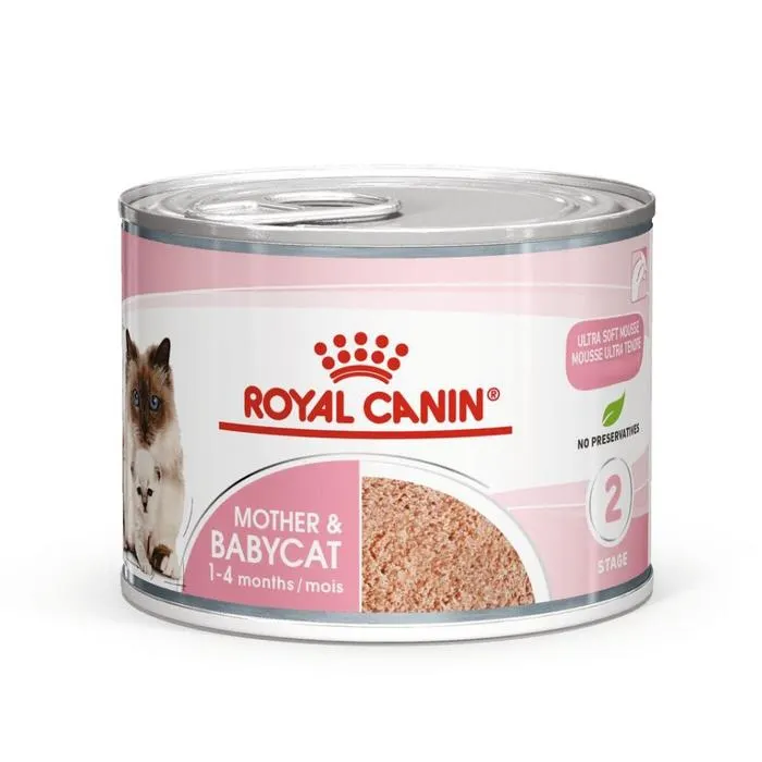 Mother & Babycat Mousse