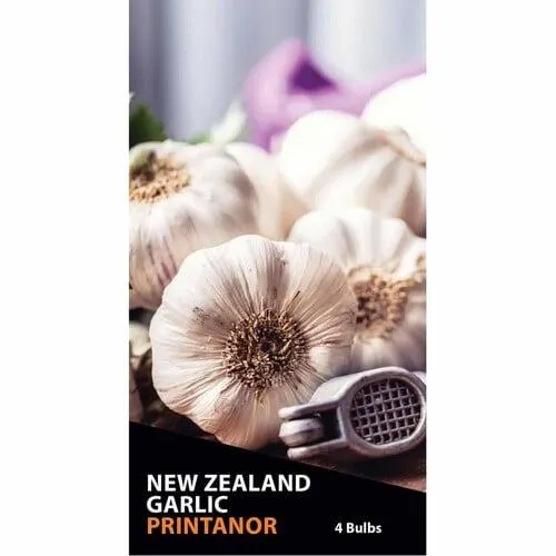 Garlic Printanor Bulbs Pack of 4