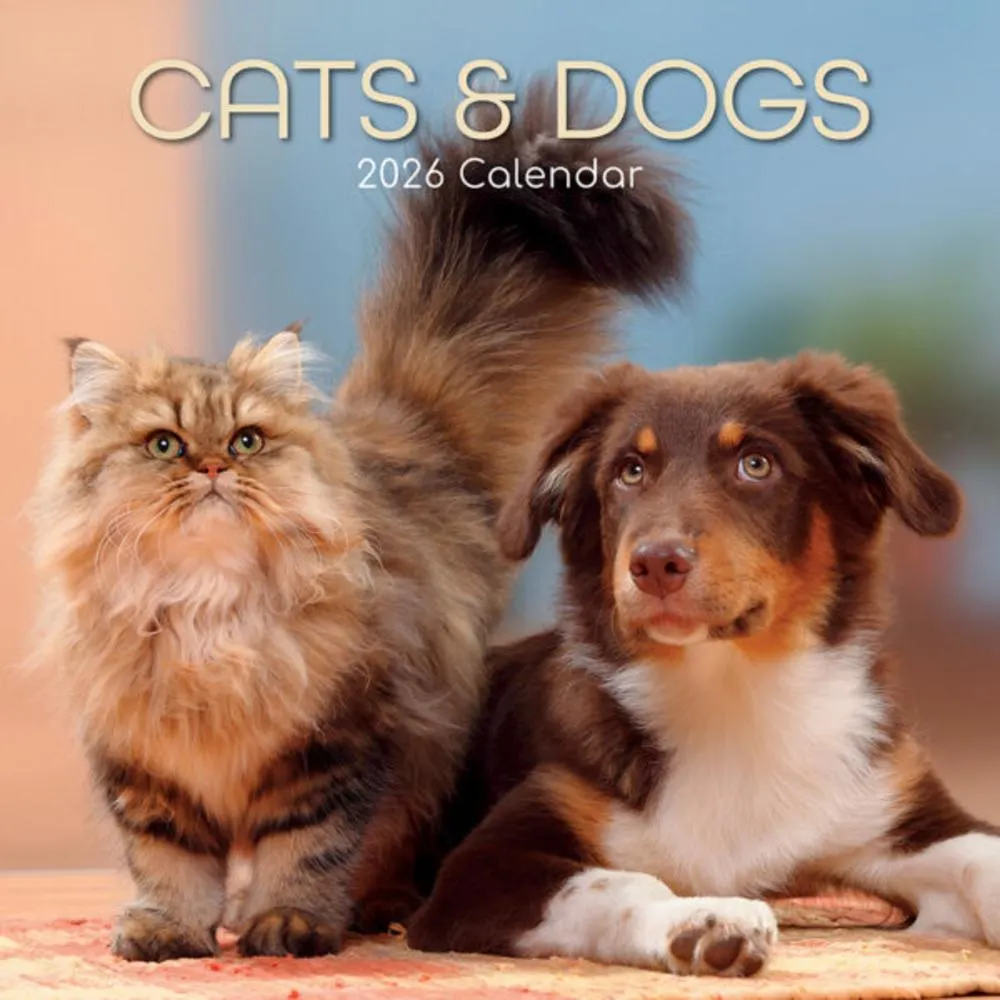 2026 Cats & Dogs Wall Calendar