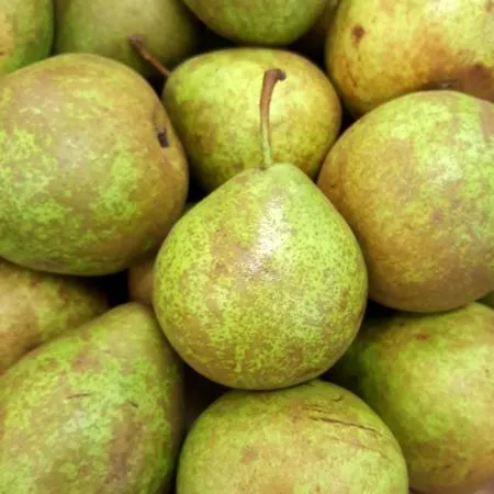 Pears