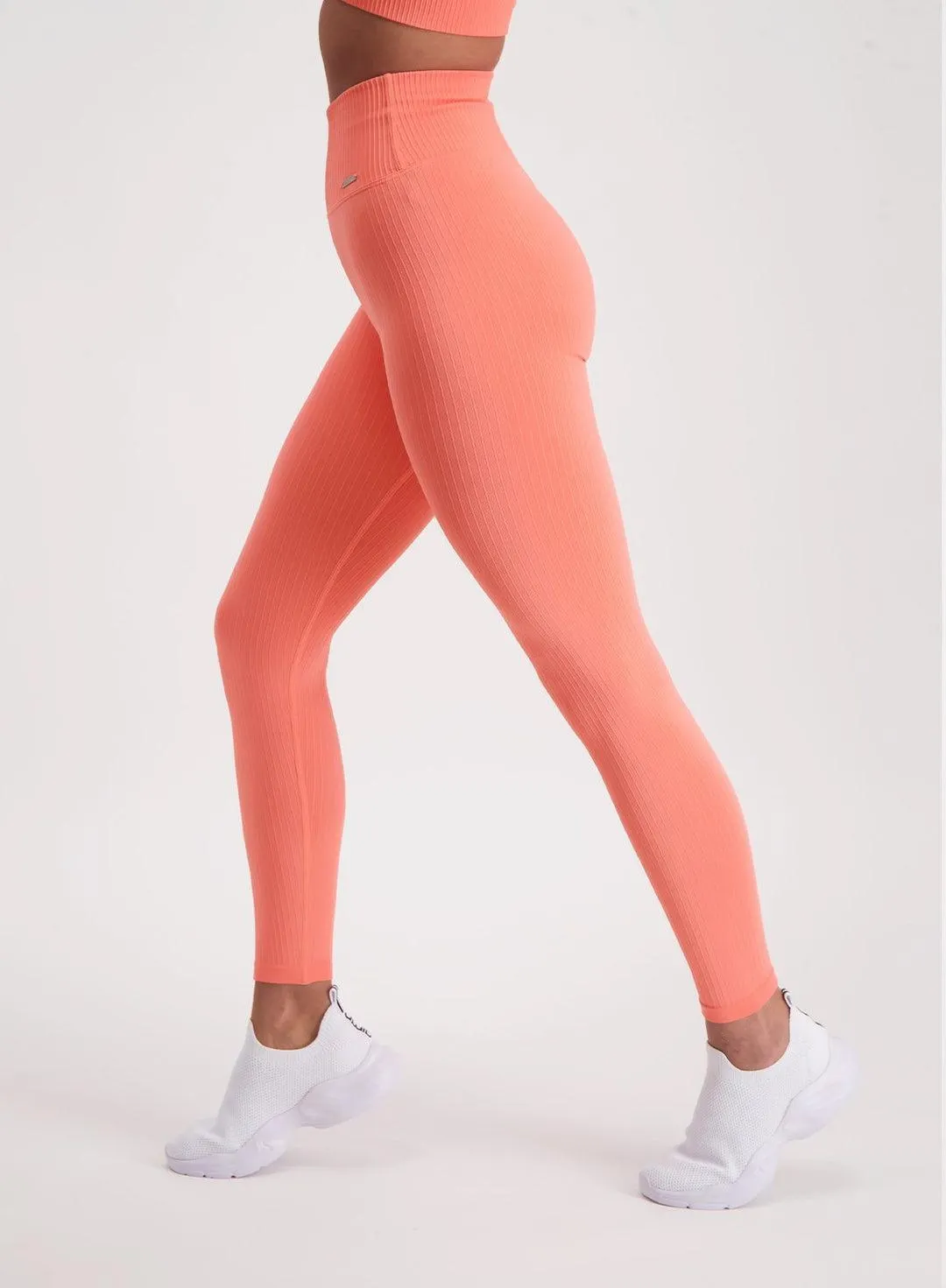CORAL RIBBED SEAMLESS TIGHTS