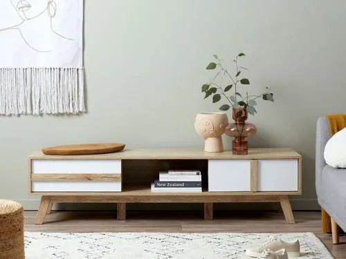 Jesse Entertainment Unit