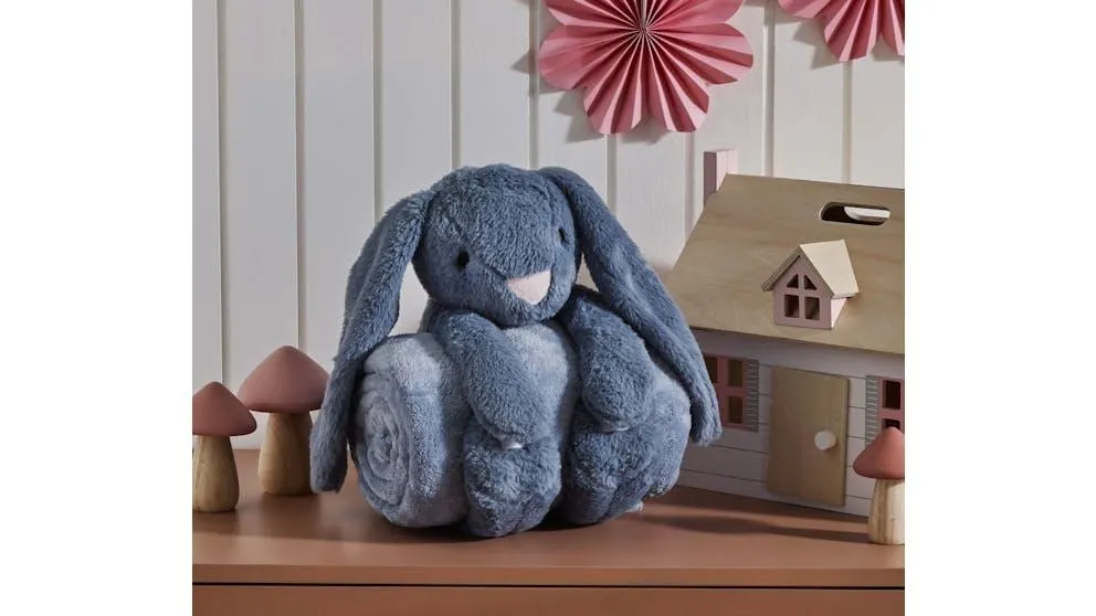 Bunny Toy and Blanket