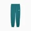 Essentials No. 1 Logo Men's Sweatpants