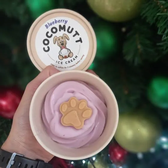 Cocomutt Dog Ice Cream Blueberry 120ml