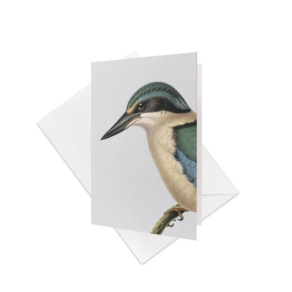 Kingfisher - Mini Gift Card & Envelope (6 Pack)