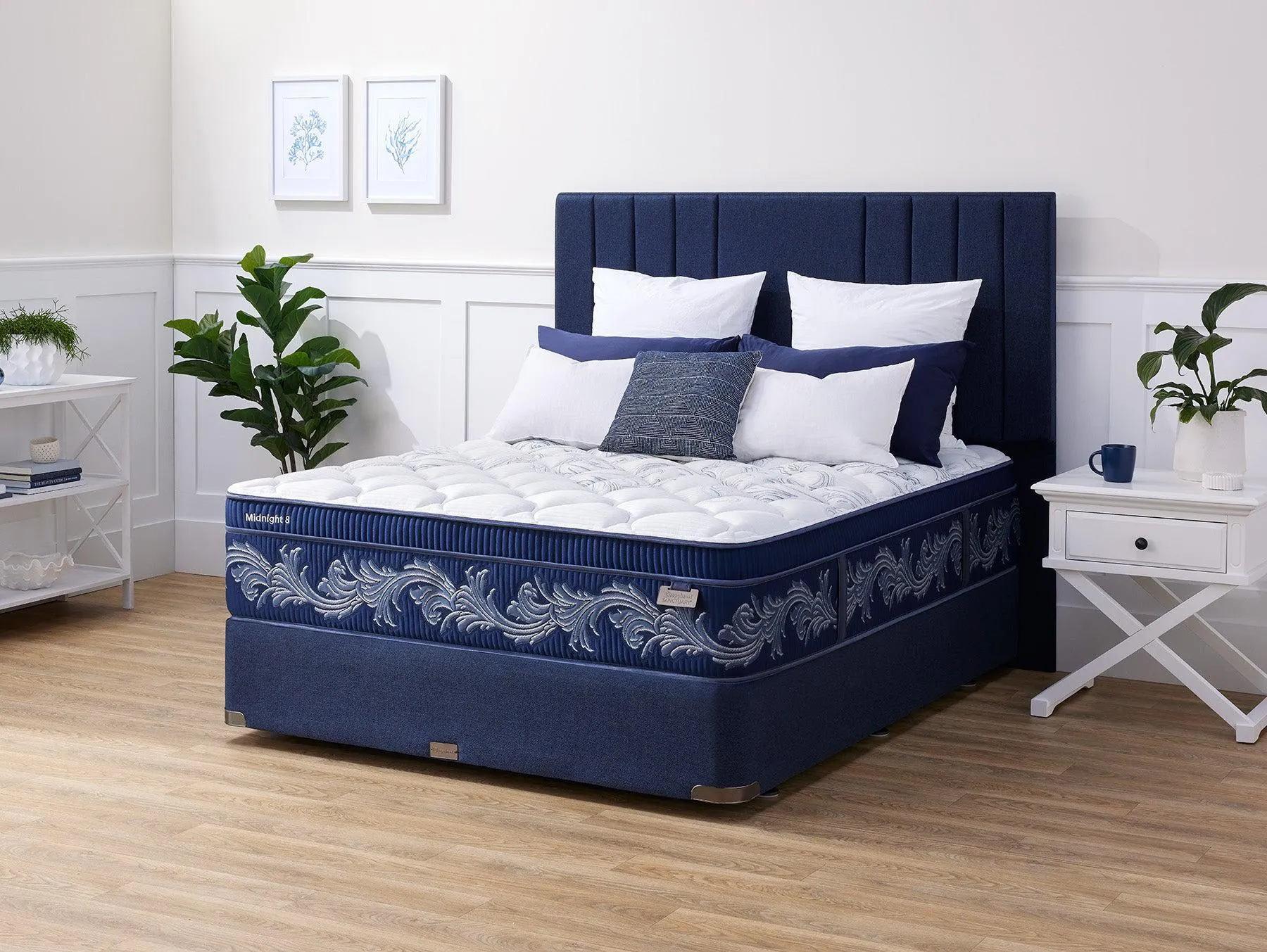 Sanctuary Midnight 8 Queen