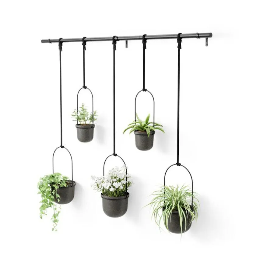 Umbra Triflora Hanging Planter (Set of 5) Black