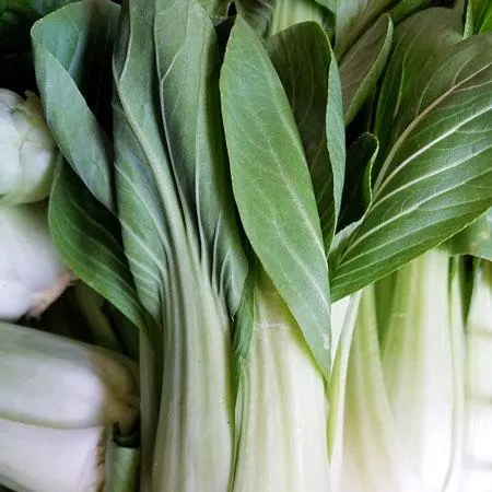 Pak Choi
