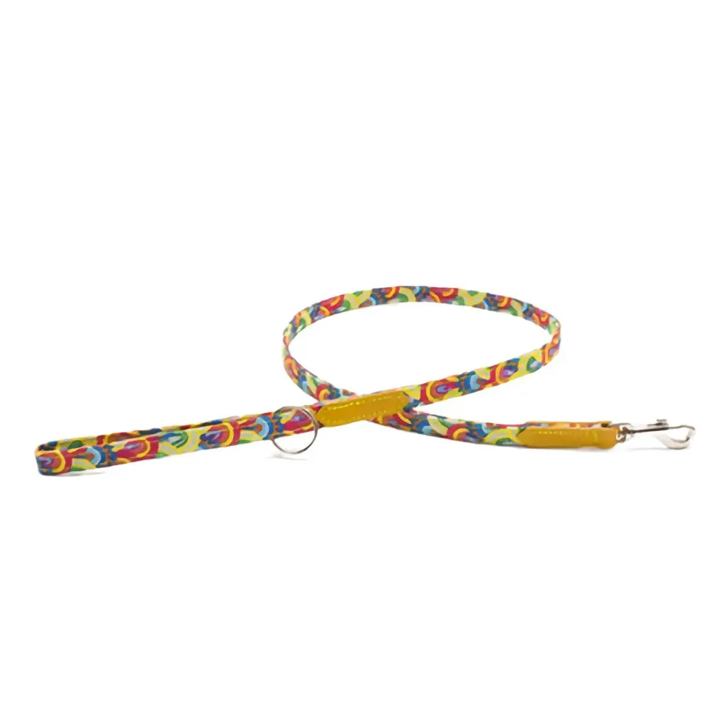 Skinny Dog Lead - Rainbow