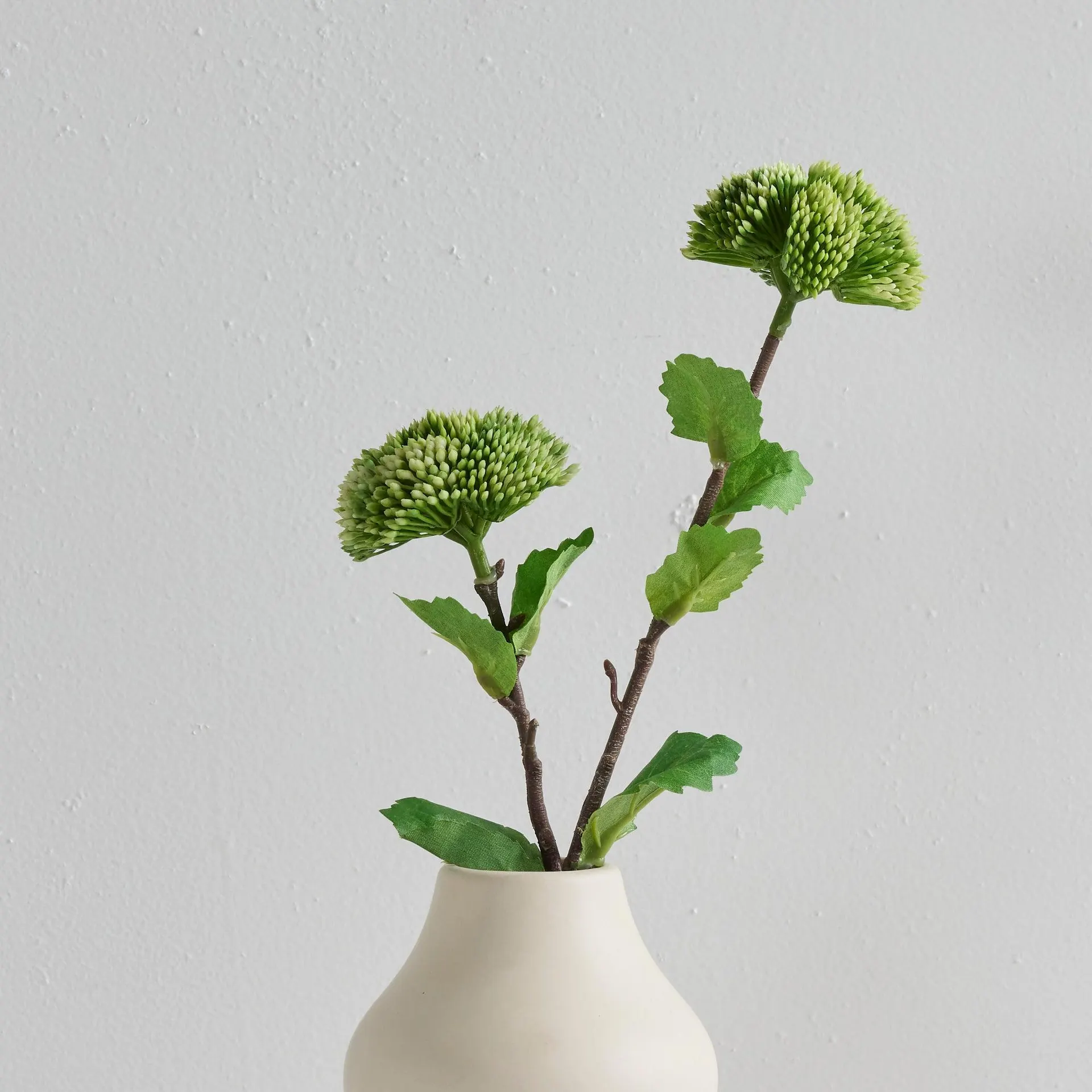 Sedum Stem - Green