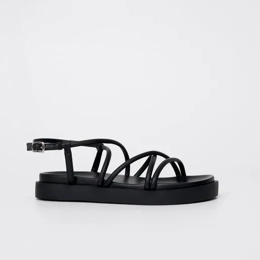 Number One Shoes + Hannahs 2024