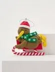 Christmas Shop Claydough Ornament, Sledding Kiwi