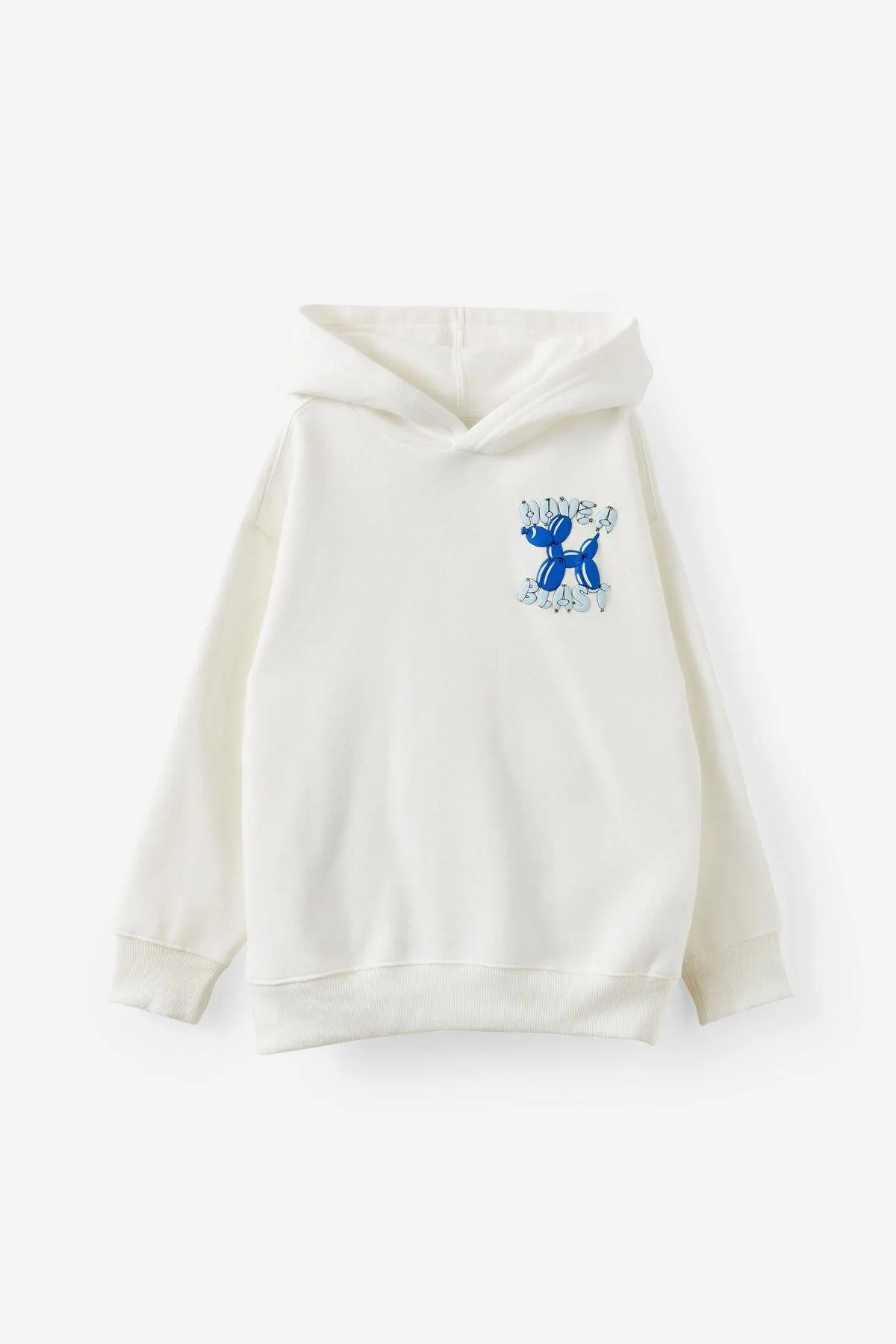 Sammy Oversized Hoodie