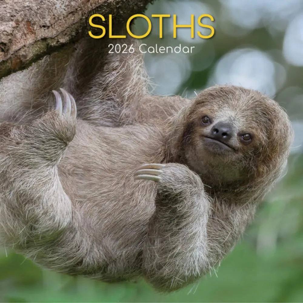2026 Sloths Wall Calendar
