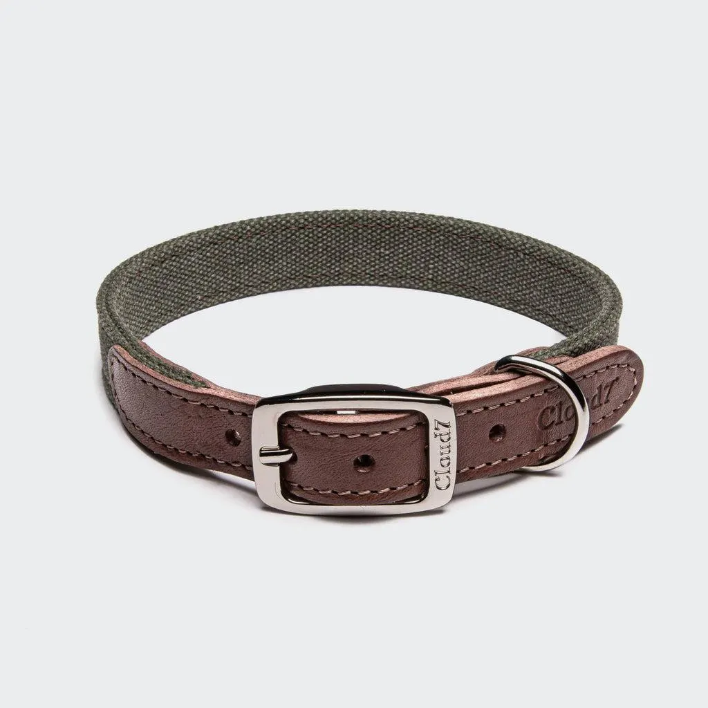 Tivoli Dog Collar in Olive from Cloud 7