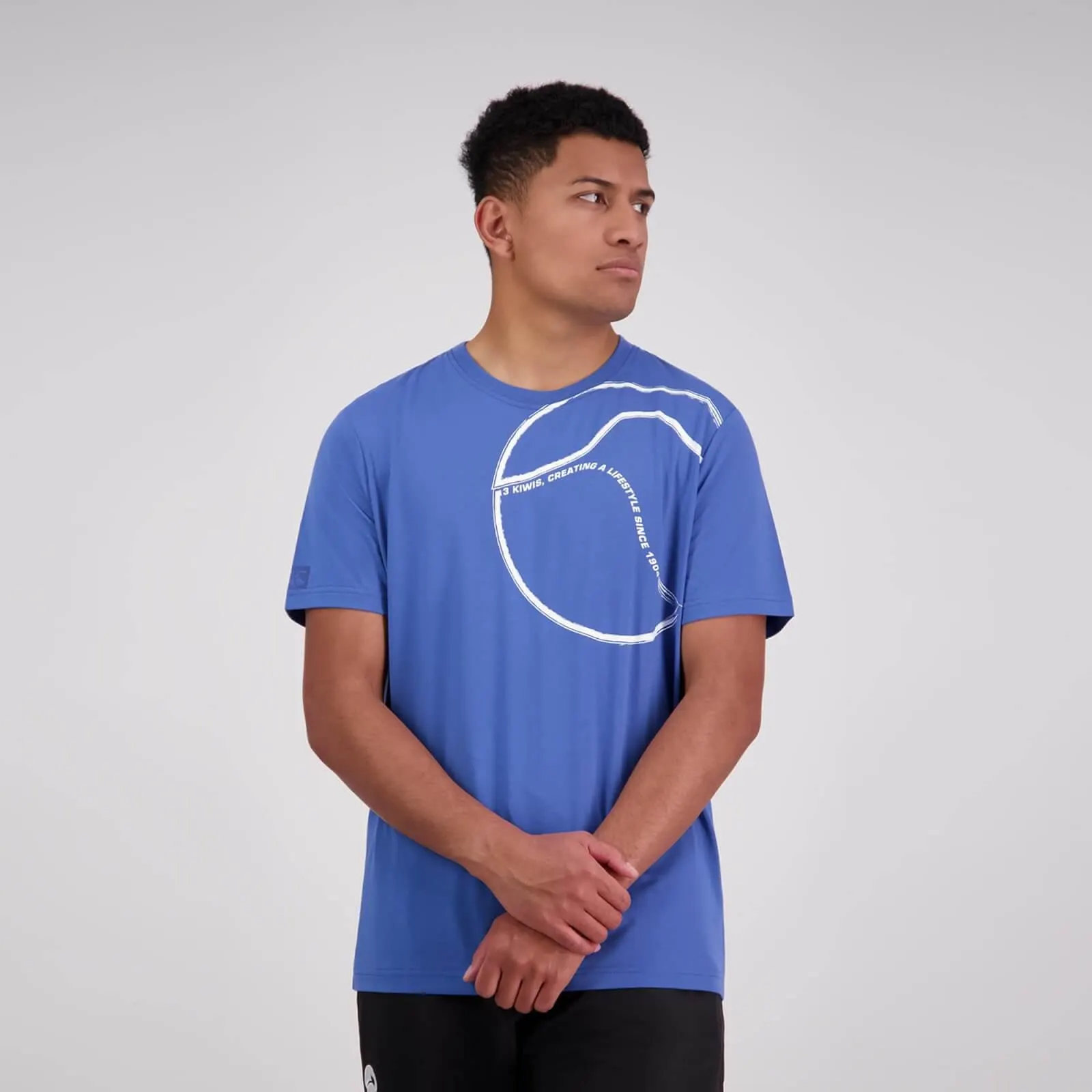 Mens Brush Stroke T-Shirt Bright Cobalt