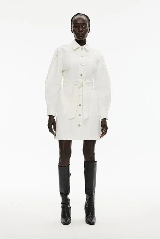 Denim Seam Detail Dress