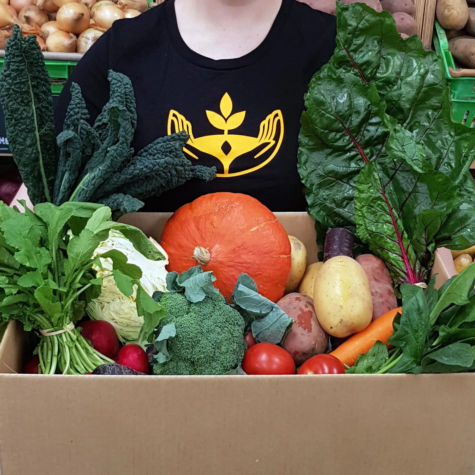 $40 Fruit & Vege Box