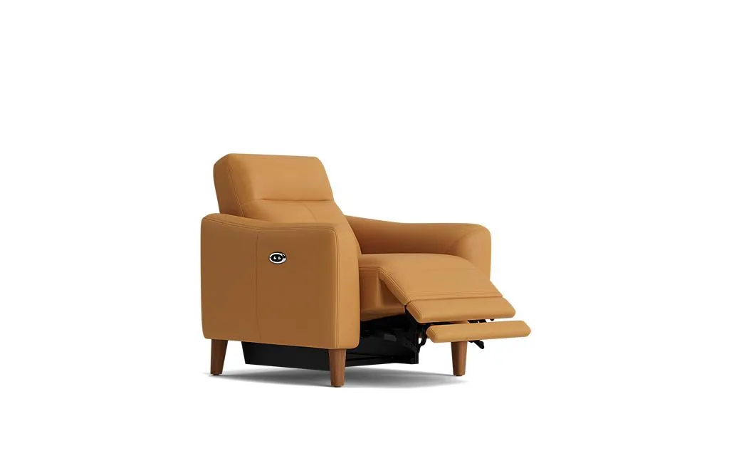 Brighton electric recliner