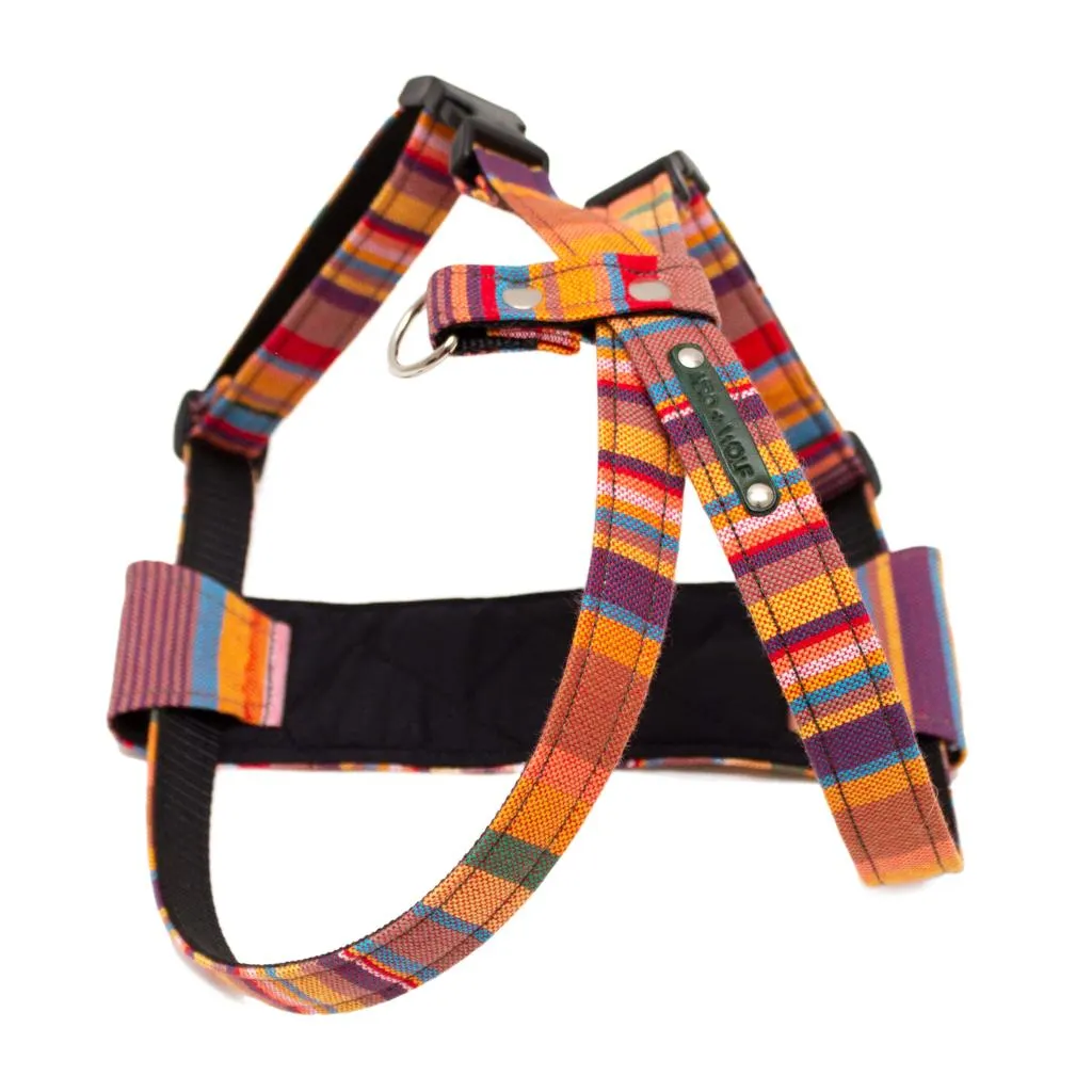 Dog Harness - Rainbow Stripe