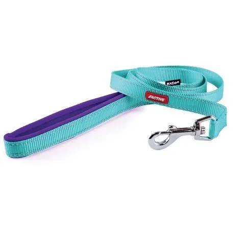 Kazoo Active Nylon Lead 180cm X 25mm Aqua/purple