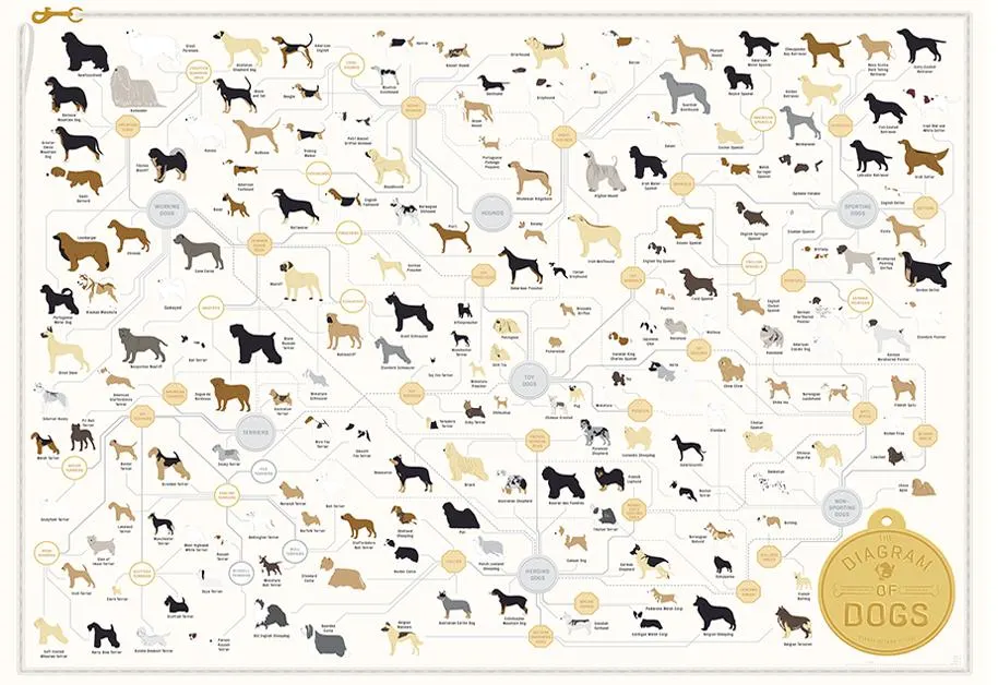 The Diagram of Dogs (un framed)