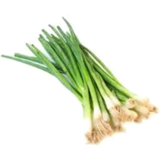 SPRING ONIONS BUNCH/EACH