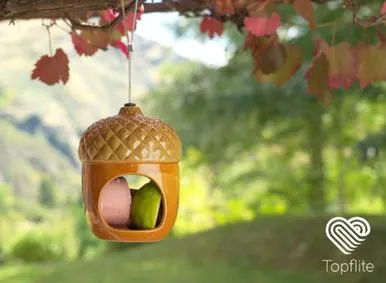 Topflite Nut Hut Wild Bird Feeder