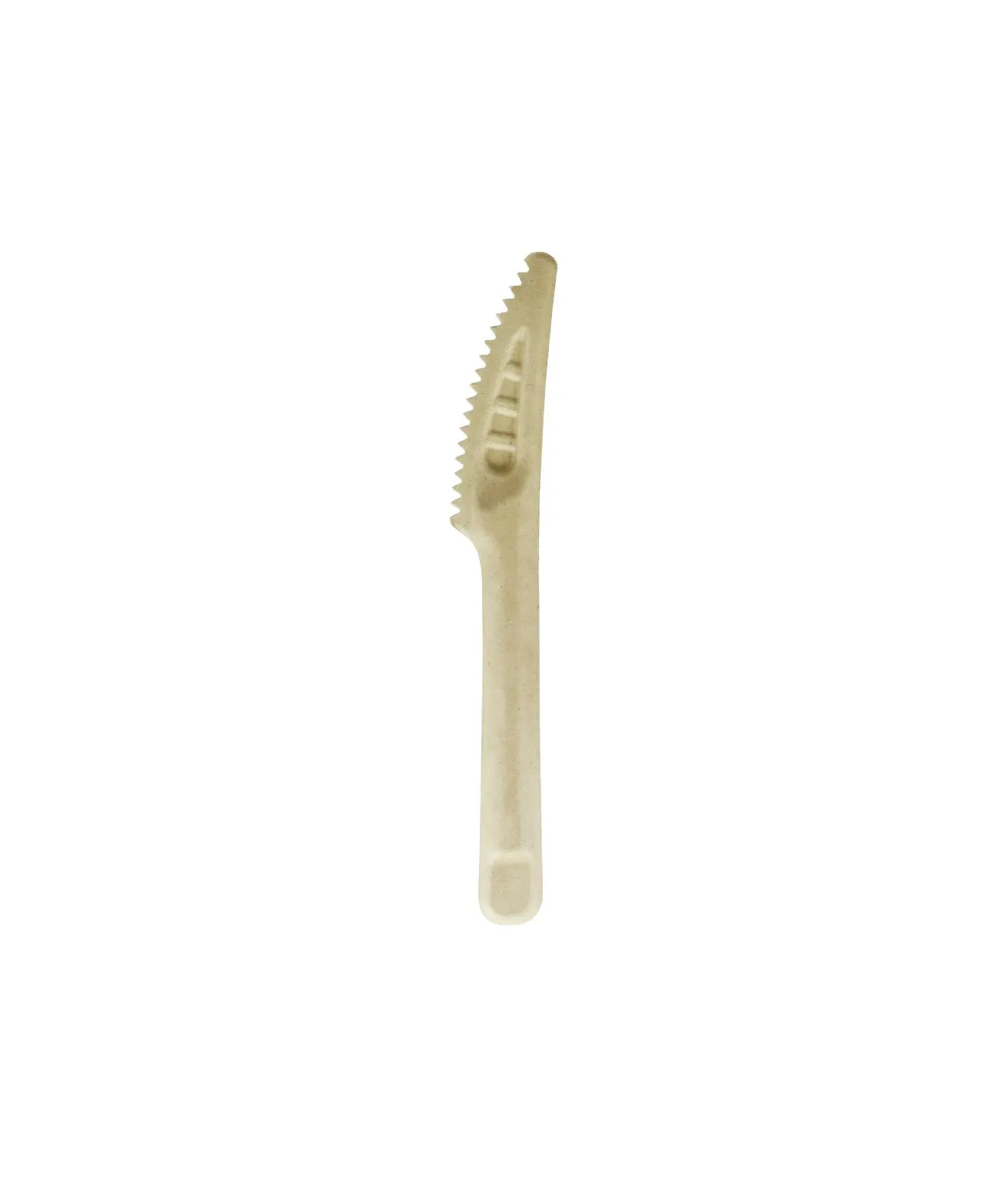 Biodegradable Knives 16.2cm 24pk