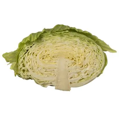 Green Cabbage Half