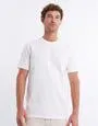 Plain Heavyweight T Shirt in White