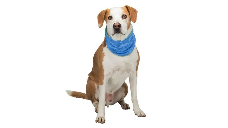Trixie Cooling Bandana Medium - 28x40cm