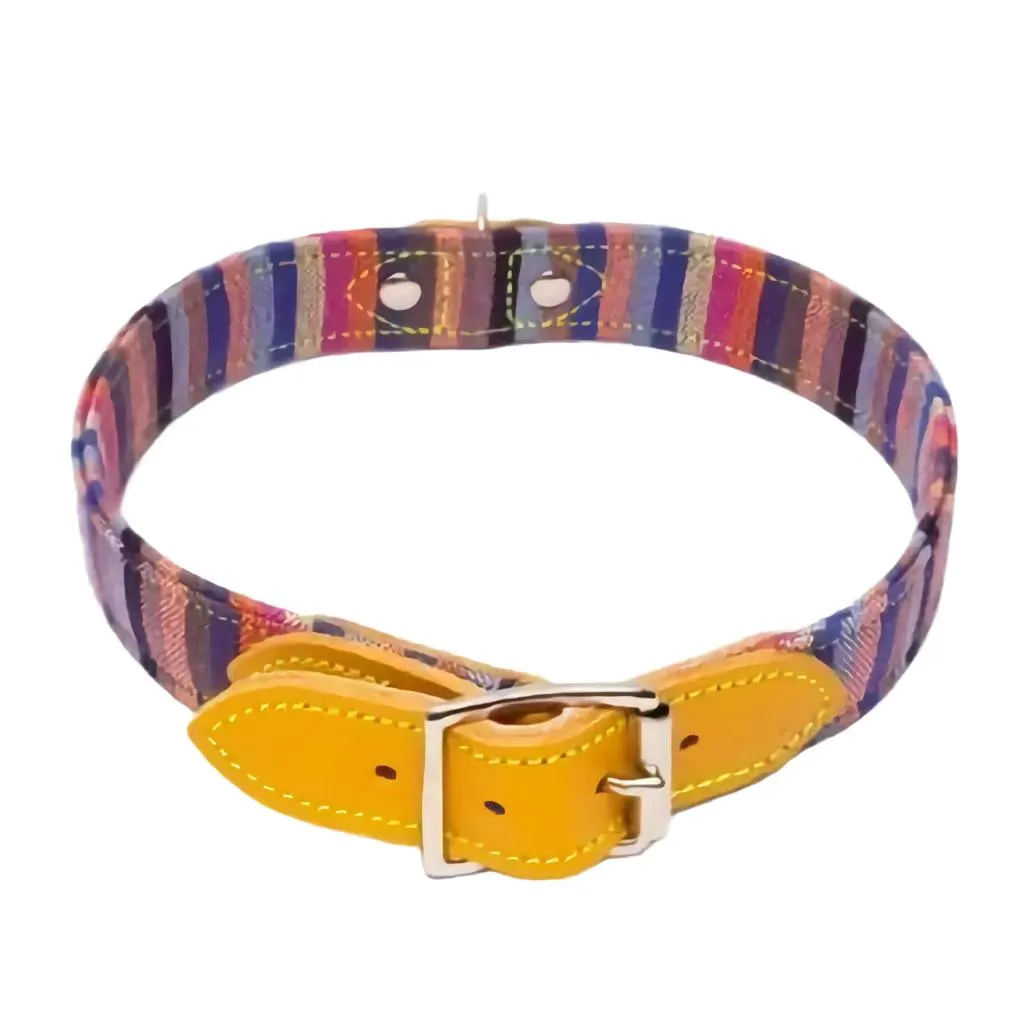 Dog Collar - Multicolour Stripe