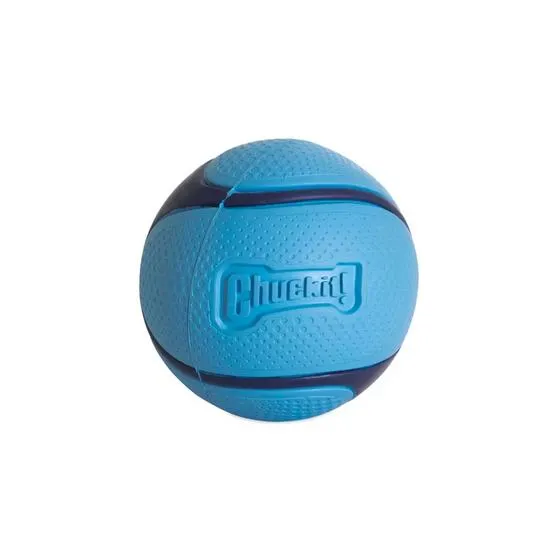 Chuckit Sniff Fetch Ball Bacon Med