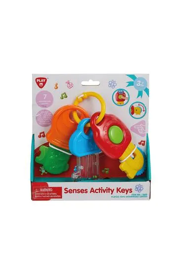 Playgo Senses Activity Keys