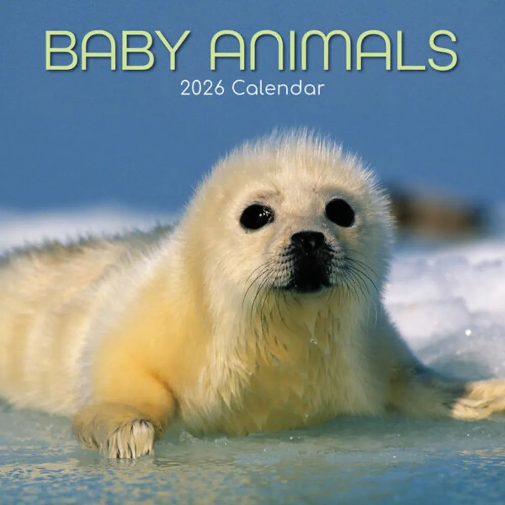 2026 Baby Animals Wall Calendar