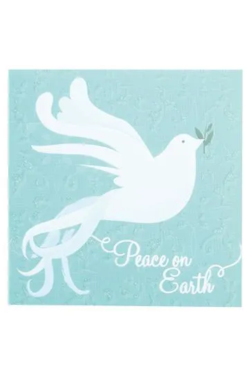 Plunket Boxed Christmas Cards Dove & Wreath Pack of 10 Turquoise