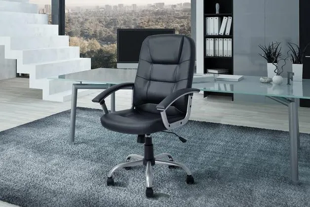 Ergolux Berkeley High Back Padded Office Chair