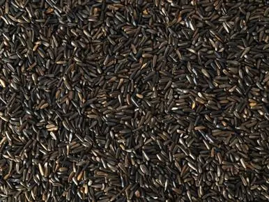 Niger Seed - 500g