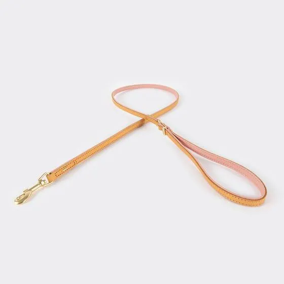 Ezydog Lead Lite Oxford Blush 120cm