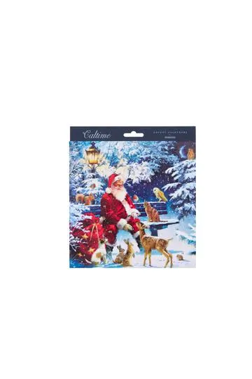 Caltime Small Advent Calendar Santa Woodland Animals