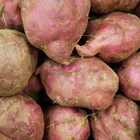 Kumara - Assorted Varieties