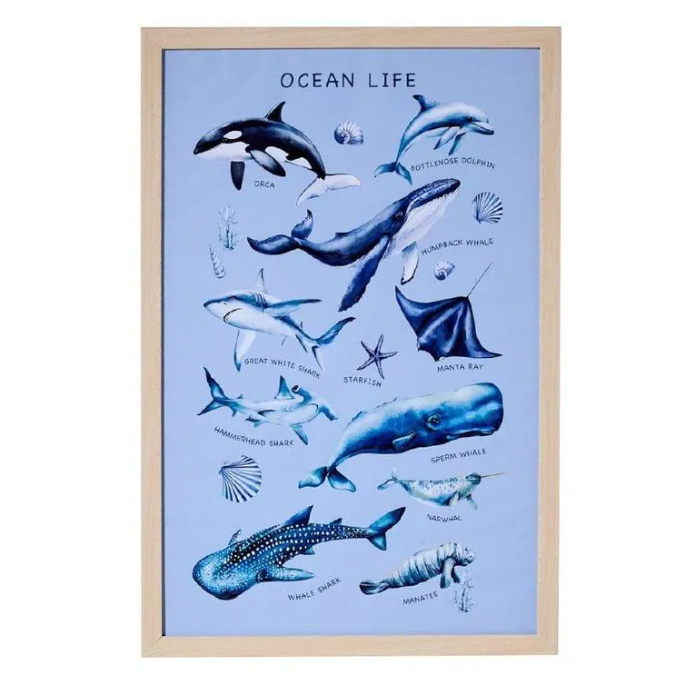 Living & Co Kids Ocean Life Framed Print 40x60cm