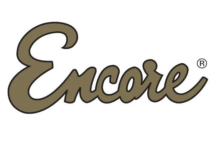 ENCORE E49 - BLACK - JB STYLE 4 STRING ELECTRIC BASS