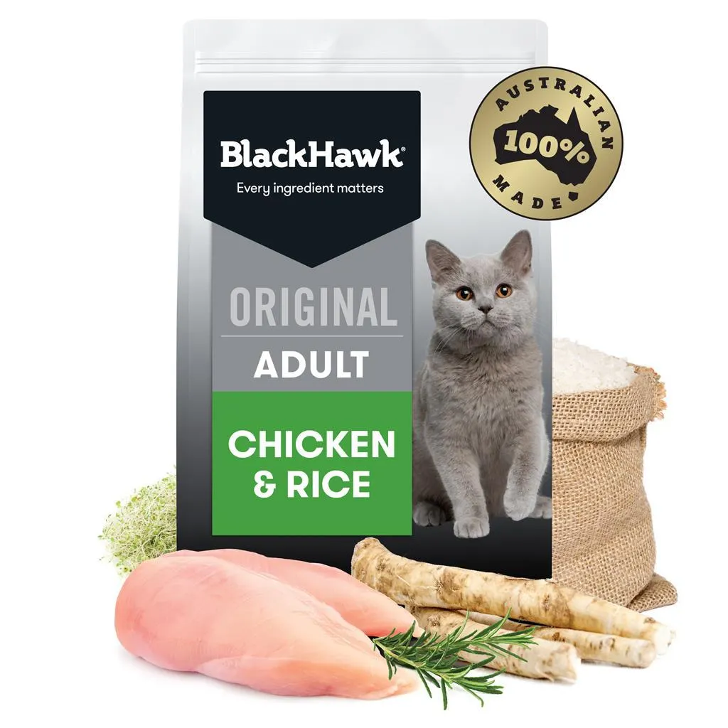 Black Hawk Cat Chicken