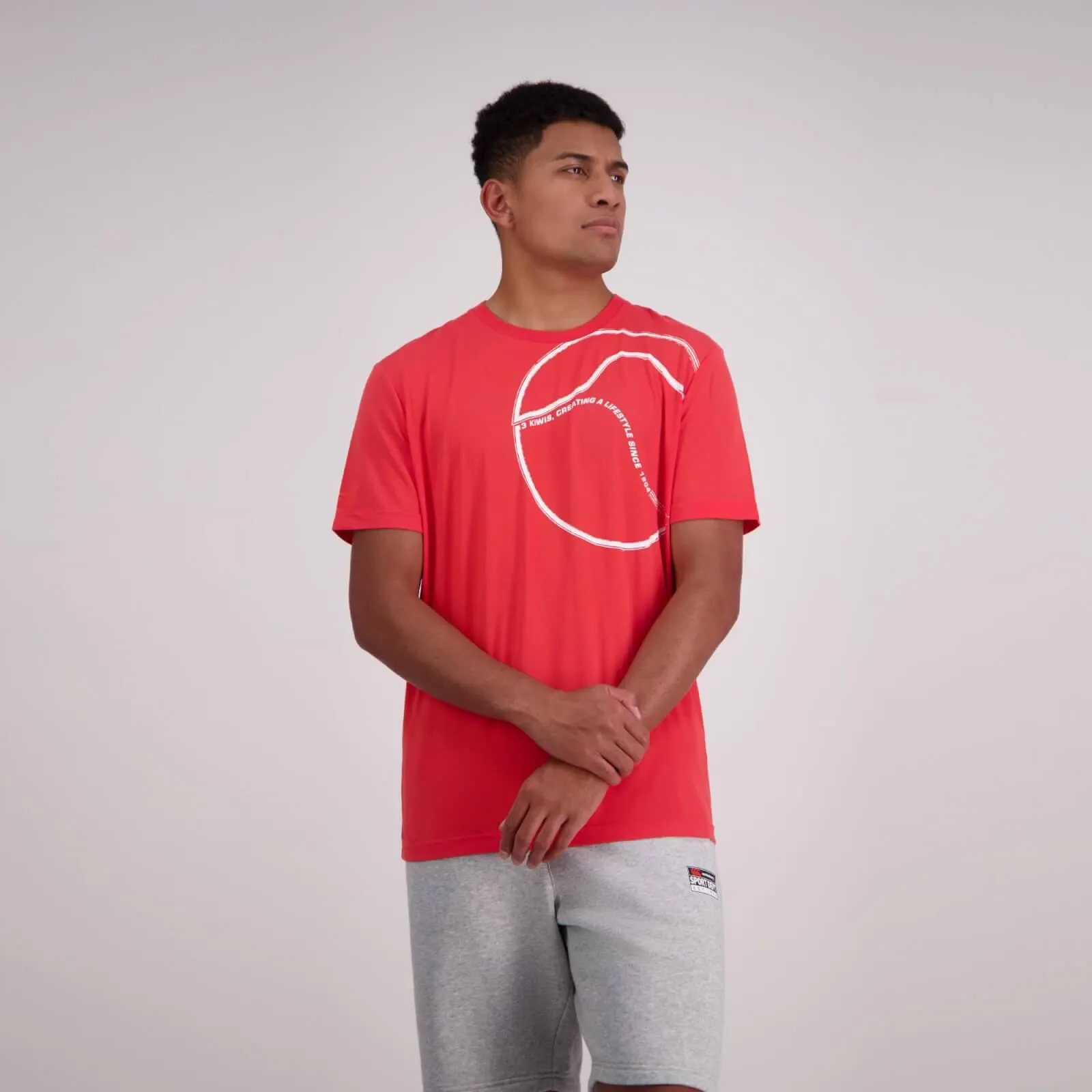 Mens Brush Stroke T-Shirt Bittersweet